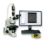 diagnostika spermií