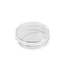 113060_light Petri Dish 60 mm - single packed / 100 units per box