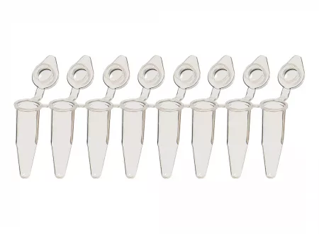 8-Strip PCR zkumavky, 0.2 ml (natural, Xtra-Clear) 8-Strip PCR zkumavky, 0.2 ml (natural, Xtra-Clear)