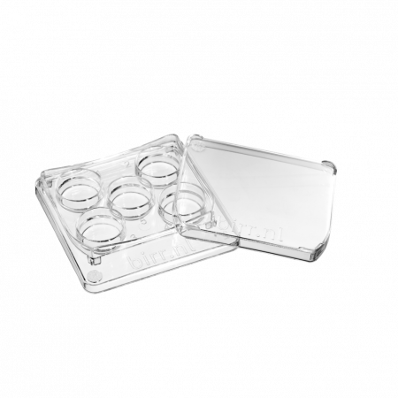 5-jamkova kultivační miska s víčkem 5-jamkova kultivační miska s víčkem