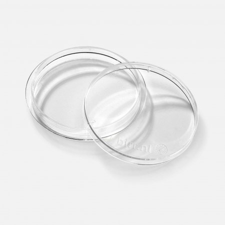 ICSI miska 60 mm ICSI miska 60 mm