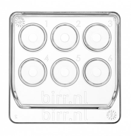 6-well dish 6-well dish