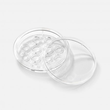 4+8 Well Culture Dish 4+8 Well Culture Dish