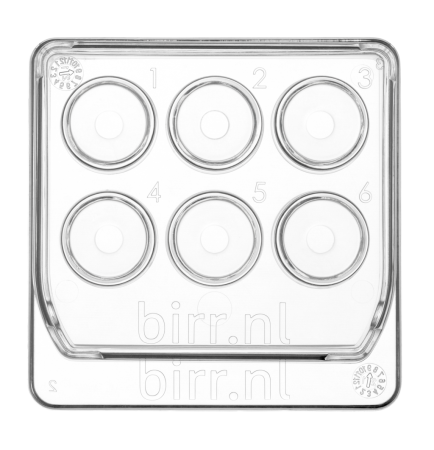 6-well dish, kultivační miska 6-well dish, kultivační miska