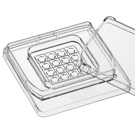 kultivační 16ti jamková miska BIRR kultivační 16ti jamková miska BIRR