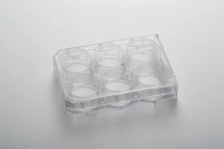 6-jamková destička CytoOne®, TC-Treated 6-jamková destička CytoOne®, TC-Treated