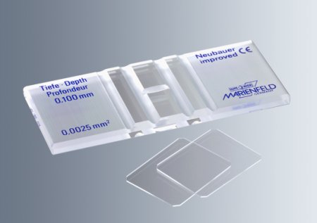 Neubauer 0,100 mm, counting chamber Neubauer 0,100 mm, counting chamber